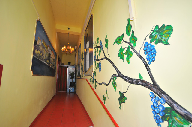 Plants: image 3 0f 12 thumb